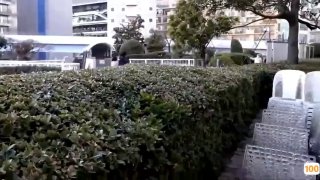 男性自慰扣屁眼🔞⭕❌⭕❌日本动漫视频免费观看